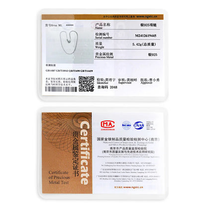 Packaged silver necklace with certification label on a white background